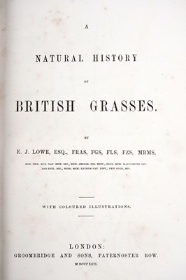 Lot 65 - Lowe (Edward Jonathan): Books on botany, 3 vols