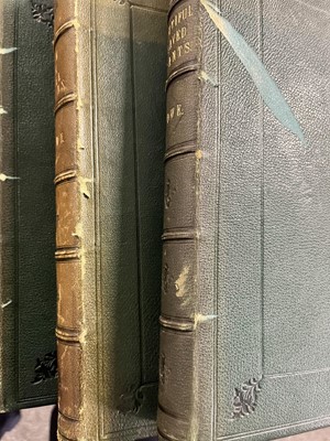 Lot 65 - Lowe (Edward Jonathan): Books on botany, 3 vols