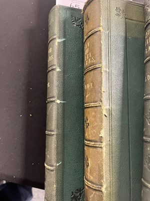 Lot 65 - Lowe (Edward Jonathan): Books on botany, 3 vols