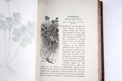 Lot 68 - Hulme (Edward), Familiar Garden Flowers