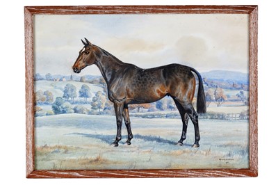 Lot 670 - Dorothy Margaret and Elizabeth Mary Alderson - Study of a bay horse | watercolour