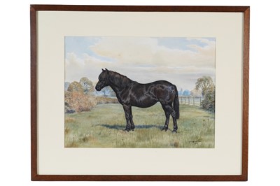 Lot 672 - Dorothy Margaret and Elizabeth Mary Alderson - Jenny | watercolour
