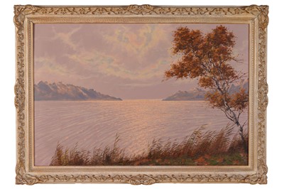 Lot 697 - Johannes Schelfman - Serenity | oil