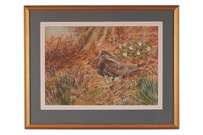Lot 620 - Cyril David Johnston - Woodcock | watercolour