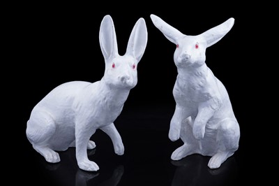 Lot Pair Bavent rabbits