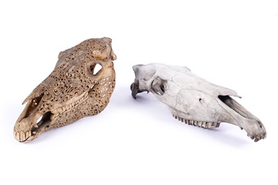 Lot 588 - Two horse skulls