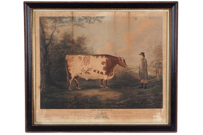 Lot John Whessell after John Boultbee - The Durham Ox | engraving
