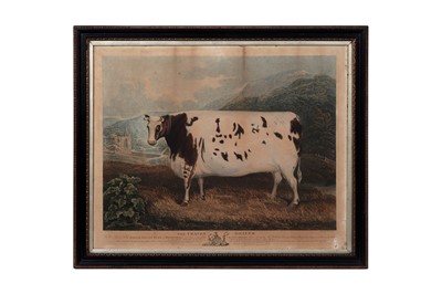 Lot 232 - John Whessell after W. D. Fryer - The Craven Heifer | engraving