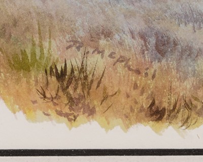 Lot 390 - Rodger McPhail - Short Eared Owls | watercolour