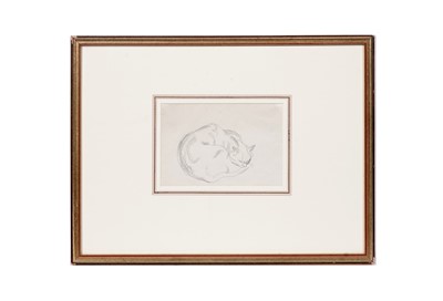 Lot 160 - Steven Spurrier - A Curled Up Cat | pencil
