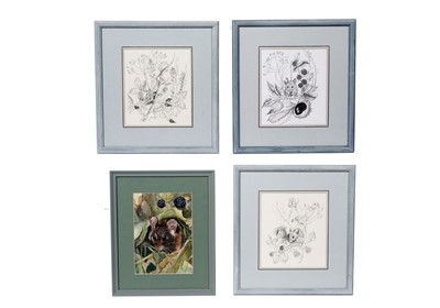 Lot 393 - Sheila Gertrude Mackie - Four dormouse studies | mixed media