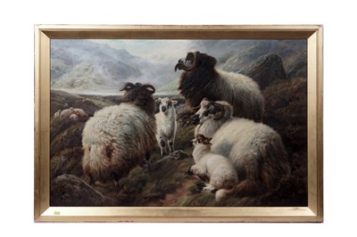 Lot 238 - William Watson Jnr. - A flock of sheep in a Scottish highland landscape | oil
