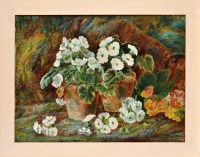 Lot 235 - 19th Century British School STUDY OF POT...
