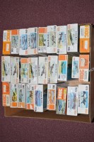 Lot 344 - Frog model constructor kits: orange series,...
